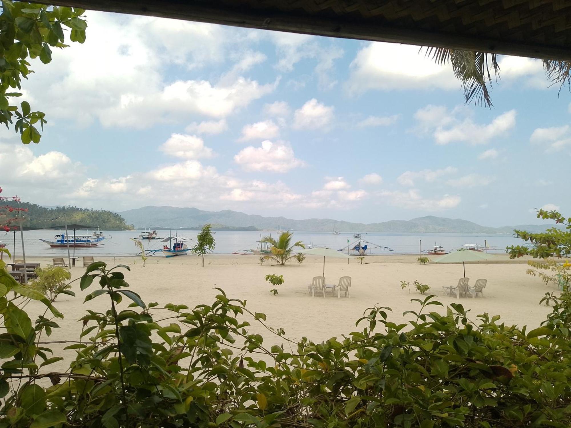 Greenviews Resort & Restaurant Port Barton 圣维森特 外观 照片