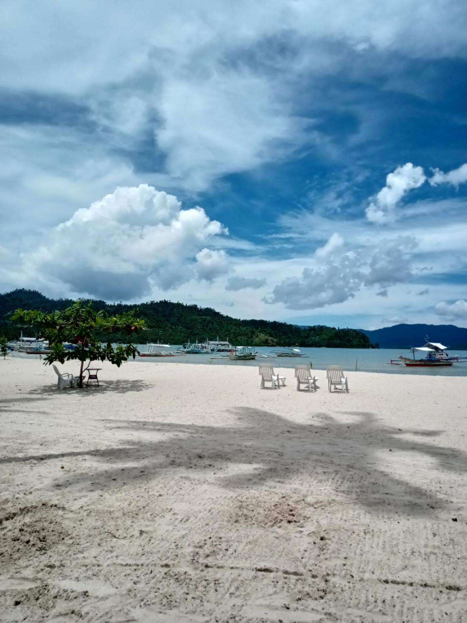 Greenviews Resort & Restaurant Port Barton 圣维森特 外观 照片